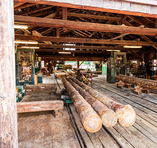 Fischer TIMBER s.r.o.