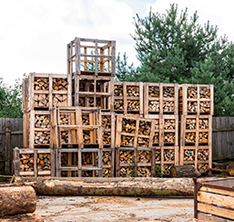 Fischer TIMBER s.r.o.